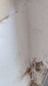 立邦防水涂料衛(wèi)生間補(bǔ)漏噴劑外墻透明防水膠屋頂補(bǔ)漏材料白色 650ml 曬單實(shí)拍圖