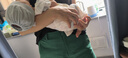 【京東物流】不銹鋼保溫壺學(xué)生宿舍熱水瓶家用玻璃內(nèi)膽開水瓶 【整套加厚雙層內(nèi)膽】3.2L/8磅 平蓋不銹鋼壺 曬單實(shí)拍圖