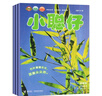 2025年小聰仔科普版4-6月第二季度雜志期刊打包發(fā)出共3期 2~8歲幼兒興趣智力培養(yǎng)兒童科普期刊 曬單實拍圖