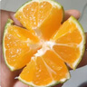 春福樂 新鮮青皮蜜橘【源頭直發(fā)】當季現摘水果云南蜜橘酸橘整箱包郵 凈重8.5-9斤親選 | 單果55-65mm 曬單實拍圖