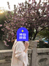 CTOX奶fufu慵懶風連帽針織開衫外套女軟糯休閑外穿毛衣春秋新款上衣潮 彩虹色版 M【建議90-105斤】 曬單實拍圖