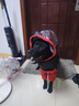 寵哆哆大狗雨衣連體四腳狗雨衣舒適透氣寵物雨衣金毛拉布拉多中型狗防水 黑桔雙拼-反光條雨衣 4XL -(建議26-40斤) 曬單實(shí)拍圖