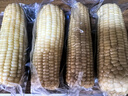 京鮮生東北白糯玉米250g*10棒 新鮮甜糯玉米棒真空包裝粘玉米 源頭直發(fā) 曬單實(shí)拍圖