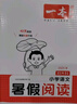 一本小學(xué)數(shù)學(xué)暑假銜接二升三年級RJ人教版 2025暑假作業(yè)復(fù)習(xí)鞏固預(yù)習(xí)自測數(shù)學(xué)思維邏輯專項(xiàng)訓(xùn)練 曬單實(shí)拍圖