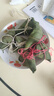鮮窩窩 超大號粽葉100片 野生粽子葉寬粽葉新鮮箬葉端午節(jié)包粽子材料 曬單實拍圖