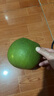 京喜加泰國青皮翡翠金柚紅肉蜜柚進口甜柚子當季新鮮水果泰柚 大果1粒裝單果1.5-2斤 曬單實拍圖