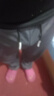 策息褲子男夏季冰絲速干薄款休閑褲男士直筒寬松運動長褲運動男褲 黑+深灰【兩件裝】 4XL -建議165-180斤左右 曬單實拍圖