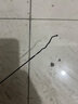 光威（GW）4.5米無法一本五代魚竿手竿超輕超硬28調(diào)野釣綜合竿臺釣竿釣魚桿 曬單實拍圖