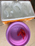 樂淘逸寵血紅鸚鵡魚活體發(fā)財(cái)魚財(cái)神魚大型熱帶觀賞魚淡水好養(yǎng) 12-13cm紅鸚鵡3條發(fā)順豐 曬單實(shí)拍圖