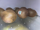佳沛（zespri）綠奇異果 優(yōu)選大果12粒單果約113-135g  水果禮盒 獼猴桃 曬單實(shí)拍圖