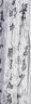 若萸古風(fēng)書(shū)法紗幔背景布新中式國風(fēng)氛圍漢服婚慶道具古裝拍照攝影掛布 【經(jīng)典黑色書(shū)法紗】0.5*2.8米 曬單實(shí)拍圖