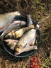 環(huán)盛釣魚(yú)鉛皮卷加厚環(huán)?？潭茹U超薄防炸鉛墜競技克度鉛皮漁具小配件 【寬5mm】厚0.4mm 3卷裝 曬單實(shí)拍圖