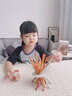 蟻恩蒙氏抽棍木棒互動(dòng)幼兒園斜塔平衡木游戲?qū)殞毣?dòng)早教益智玩具兒童 木棒抽抽樂(lè)【全木套裝】 比薩斜塔 曬單實(shí)拍圖