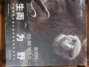 中國國家地理生而為野 自然景觀 野生生物 微距觀察攝影集畫冊 曬單實拍圖