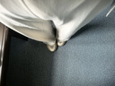 lululemon丨Stretch Woven 女士高腰闊腿褲 LW5FTCA 骨白 L 曬單實(shí)拍圖
