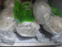 秋小鮮山東藜麥山藥綠豆包子1.2kg 10只 早餐雜糧饅頭 源頭直發(fā) 包郵  曬單實(shí)拍圖