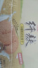 思朗 纖麩木糖醇粗糧消化餅干整箱1020g 早餐代餐飽腹食品休閑零食 原味1020g（木糖醇） 曬單實(shí)拍圖