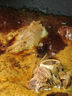 龍大肉食 醬鹵豬大骨4斤組合（豬棒骨1kg+豬脊骨1kg+老鹵汁） 豬肉生鮮 曬單實拍圖