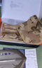 神火 （supfire）BG05多功能戶外工兵鏟鐵鍬錳鋼兵工鏟折疊野外鏟子軍工鏟用品 BG05-2節(jié) 曬單實拍圖