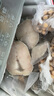 我愛漁法國銀鱈魚圓切2斤 3-5片南極犬牙魚 獨(dú)立真空包裝 海鮮水產(chǎn) 曬單實(shí)拍圖