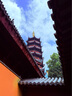 沫檬地板清潔劑3瓶混搭 拖地瓷磚木地板地磚掃地機(jī)器人洗地機(jī)去污殺菌 曬單實(shí)拍圖