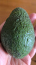 諸氏橙品【即食】秘魯牛油果 新鮮鱷梨 寶寶健康輕食孕婦當(dāng)季時令進(jìn)口水果 特大果6枚禮盒裝（單果160-200g) 曬單實拍圖