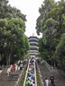 臻牧（zhenmu）免疫球蛋白2罐禮盒 純羊奶粉 無(wú)蔗糖高鈣益生菌 中老年人成人女士 曬單實(shí)拍圖