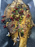 楚食比亞水源地丹江口市翹嘴鲌新鮮現(xiàn)殺翹嘴白魚翹嘴魚大白刁刁子魚禮盒 2斤裝（1斤左右每條）2條 曬單實(shí)拍圖