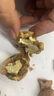 鮮級佳大涼山新鮮濕核桃去青皮嫩核桃老樹薄紙皮核桃孕婦專用生核桃新貨 凈重5斤【去青皮】送夾子 曬單實拍圖