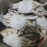 梭子蟹鮮活特大野生舟山大螃蟹海鮮新鮮冷凍海蟹水產(chǎn)飛蟹白蟹 【嘗鮮款】3-5兩/只 凈重3斤 曬單實拍圖