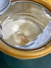 浙華藥業(yè)益生菌蛋白質(zhì)粉免疫球蛋白兒童中老年腸胃調(diào)節(jié)增免疫力術(shù)后營(yíng)養(yǎng)品 專利腸胃菌株*2罐【消化改善 體重上漲】 曬單實(shí)拍圖
