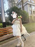 G.DUCK HELLO女童2025夏季新款甜美吊帶蓬蓬裙公主禮服生日裙 白色 100 cm 曬單實(shí)拍圖