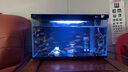 米家（MIJIA）智能生態(tài)魚缸定時喂食智能魚缸+畫法幾何增氧泵套裝 曬單實拍圖