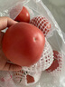 京鮮生沙瓤粉西紅柿 凈重3斤 單果100g+果菜兩吃 源頭直發(fā) 【搜生鮮館】 曬單實(shí)拍圖