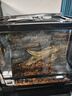 REPTIZOO陸龜飼養箱爬寵缸鬃獅變色龍蜥蜴守宮玻璃爬缸爬蟲(chóng)箱【RK飼養缸】 40x30x35CM 【RK0103NS】 曬單實(shí)拍圖