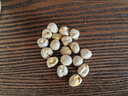 徽天賜香酥鷹嘴豆500g堅果炒貨純新疆減女生脂特產(chǎn)非油炸熟健身粗糧代餐 熟鷹嘴豆【20包】 曬單實(shí)拍圖