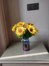 LZJVins向日葵仿真花太陽(yáng)花塑料假花干花家居客廳餐桌花束擺設手捧花 向日葵/太陽(yáng)花 向日葵1支裝【45cm】 曬單實(shí)拍圖