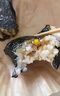 京魯遠(yuǎn)洋三角海苔飯團(tuán) 4種口味12枚 微波加熱 兒童方便早餐 曬單實(shí)拍圖