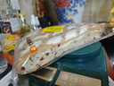 【新鮮現(xiàn)烤】蔓越莓忌廉芝士軟歐 280g 代餐飽腹食品 曬單實拍圖