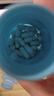 VETWISH唯特適布拉氏酵母益生菌狗狗幼犬軟便拉稀寵物專用15g 曬單實(shí)拍圖