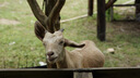 適馬（SIGMA）56mm F1.4 DC DN｜Contemporary 半畫幅大光圈定焦鏡頭 人像特寫（適馬56 f1.4索尼E卡口） 曬單實拍圖