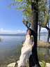 小野七天露背連衣裙女海邊度假風(fēng)露背掛脖A字裙夏季純欲仙氣鏤空長裙 杏色 M 曬單實拍圖
