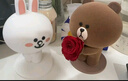 JoyFlower布朗熊可妮兔永生玫瑰花禮盒生日禮物七夕情人節(jié)結(jié)婚紀(jì)念送女朋友 曬單實(shí)拍圖