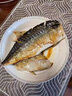 鮮馳挪威進口青花魚片鯖魚新鮮冷凍大號鮐鲅魚日式鹽漬青占魚燒烤商用 1500g 約15片裝100g-120g/片凈重 曬單實拍圖