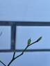 有道詞典筆A7Pro英語(yǔ)點(diǎn)讀筆小學(xué)初中高中同步全科掃描學(xué)習(xí)筆神器電子詞典翻譯筆單詞筆點(diǎn)讀機(jī)學(xué)習(xí)機(jī) 曬單實(shí)拍圖