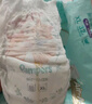 幫寶適【夏天散熱王者】一級幫嬰兒拉拉褲夏季超薄透氣2XL25 尿不濕尿褲 曬單實拍圖