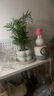 佰花錦辦公桌面綠植盆栽發(fā)財樹室內(nèi)客廳奶油風(fēng)網(wǎng)紅盆景精致美觀四季好養(yǎng) 袖珍椰子+PVC白泡泡盆 整體高度約15-25cm 曬單實拍圖
