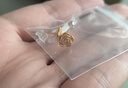 中國(guó)黃金CHINA GOLD玫瑰花18K金耳釘女K金耳飾七夕情人節(jié)禮物送女友老婆生日實(shí)用 京速達(dá)-18K黃金玫瑰花耳釘 曬單實(shí)拍圖