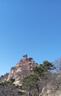 瀘州老窖 國窖1573 濃香型白酒 52度500ml*6 經(jīng)典裝原箱五碼(掃蓋有獎) 曬單實(shí)拍圖