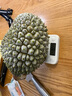 京東超市新鮮貓山王榴蓮馬來西亞D197液氮冷凍水果單果3-3.5斤【保4房】 曬單實拍圖